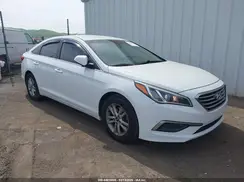 5NPE24AF7GH373933 2016 HYUNDAI SONATA