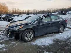 5NPE24AF7GH377402 2016 HYUNDAI SONATA