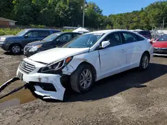 5NPE24AF7GH382762 2016 HYUNDAI SONATA