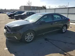 5NPE24AF7GH384852 2016 HYUNDAI SONATA