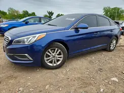 5NPE24AF7GH388139 2016 HYUNDAI SONATA