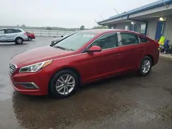 5NPE24AF7GH390201 2016 HYUNDAI SONATA