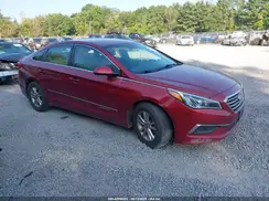 5NPE24AF7GH390215 2016 HYUNDAI SONATA