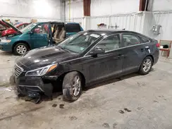 5NPE24AF7GH390571 2016 HYUNDAI SONATA