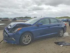 5NPE24AF7GH390716 2016 HYUNDAI SONATA