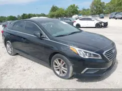 5NPE24AF7GH393941 2016 HYUNDAI SONATA