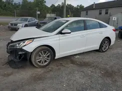 5NPE24AF7GH394443 2016 HYUNDAI SONATA