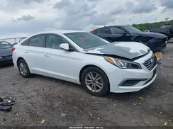 5NPE24AF7GH394829 2016 HYUNDAI SONATA