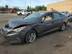 5NPE24AF7GH399030 2016 HYUNDAI SONATA