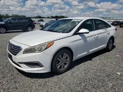 5NPE24AF7GH399271 2016 HYUNDAI SONATA