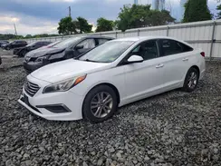 5NPE24AF7GH404016 2016 HYUNDAI SONATA