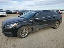 5NPE24AF7GH413430 2016 HYUNDAI SONATA