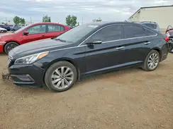 5NPE24AF7GH415159 2016 HYUNDAI SONATA