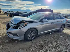 5NPE24AF7GH416960 2016 HYUNDAI SONATA