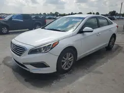 5NPE24AF7GH420104 2016 HYUNDAI SONATA
