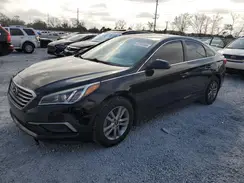 5NPE24AF7GH429787 2016 HYUNDAI SONATA
