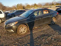 5NPE24AF7GH436030 2016 HYUNDAI SONATA