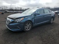 5NPE24AF7HH437891 2017 HYUNDAI SONATA