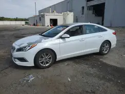 5NPE24AF7HH439429 2017 HYUNDAI SONATA