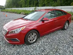 5NPE24AF7HH441178 2017 HYUNDAI SONATA