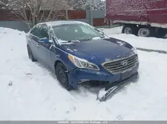 5NPE24AF7HH442976 2017 HYUNDAI SONATA