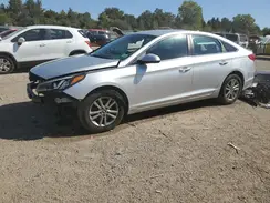 5NPE24AF7HH443769 2017 HYUNDAI SONATA