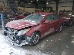 5NPE24AF7HH446462 2017 HYUNDAI SONATA