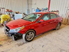 5NPE24AF7HH447563 2017 HYUNDAI SONATA
