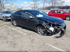 5NPE24AF7HH447997 2017 HYUNDAI SONATA