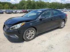 5NPE24AF7HH452410 2017 HYUNDAI SONATA