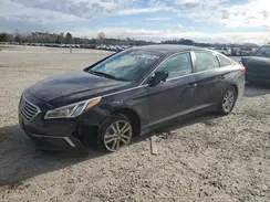 5NPE24AF7HH455498 2017 HYUNDAI SONATA