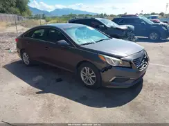 5NPE24AF7HH456716 2017 HYUNDAI SONATA