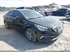 5NPE24AF7HH460667 2017 HYUNDAI SONATA