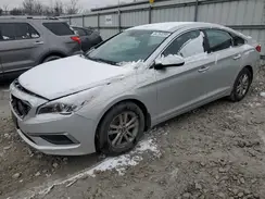 5NPE24AF7HH464816 2017 HYUNDAI SONATA