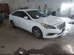 5NPE24AF7HH469580 2017 HYUNDAI SONATA