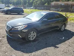 5NPE24AF7HH485343 2017 HYUNDAI SONATA