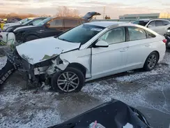 5NPE24AF7HH498769 2017 HYUNDAI SONATA