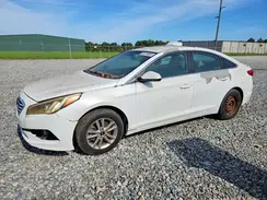 5NPE24AF7HH505767 2017 HYUNDAI SONATA