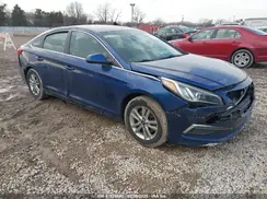 5NPE24AF7HH509169 2017 HYUNDAI SONATA