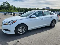 5NPE24AF7HH513450 2017 HYUNDAI SONATA