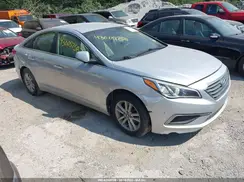 5NPE24AF7HH513724 2017 HYUNDAI SONATA