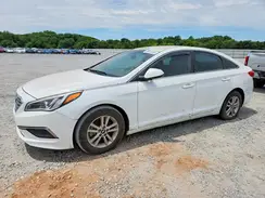 5NPE24AF7HH513870 2017 HYUNDAI SONATA