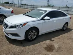 5NPE24AF7HH516347 2017 HYUNDAI SONATA