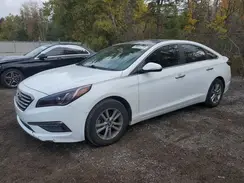 5NPE24AF7HH516719 2017 HYUNDAI SONATA