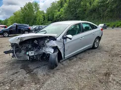 5NPE24AF7HH517210 2017 HYUNDAI SONATA