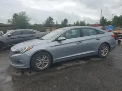 5NPE24AF7HH517322 2017 HYUNDAI SONATA