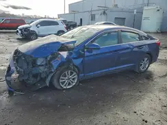 5NPE24AF7HH518552 2017 HYUNDAI SONATA