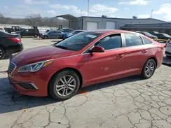 5NPE24AF7HH527879 2017 HYUNDAI SONATA