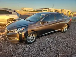 5NPE24AF7HH528384 2017 HYUNDAI SONATA