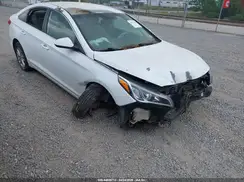 5NPE24AF7HH528918 2017 HYUNDAI SONATA